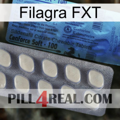 Filagra FXT 34